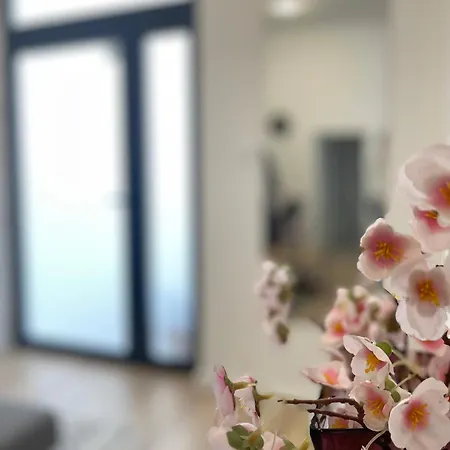 N Apartment