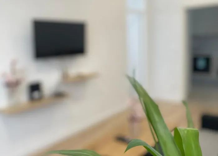 N Apartment Split