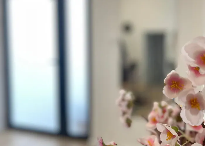 N Apartment